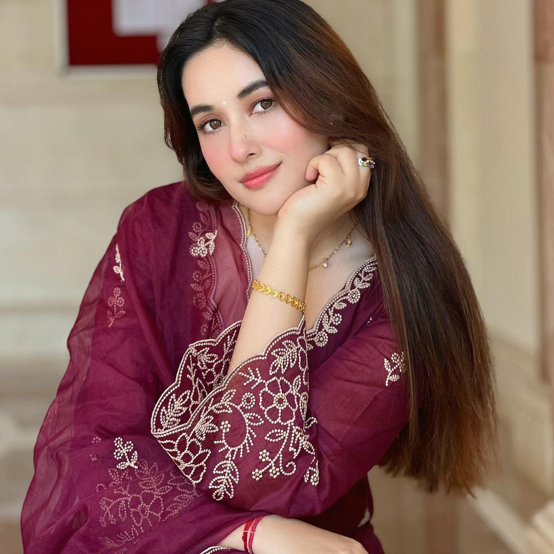 Elegant Embroidered Punjabi Suit Set with Dupatta