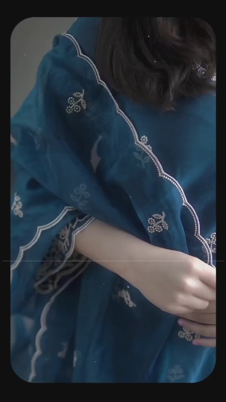 Elegant Embroidered Punjabi Suit Set with Dupatta